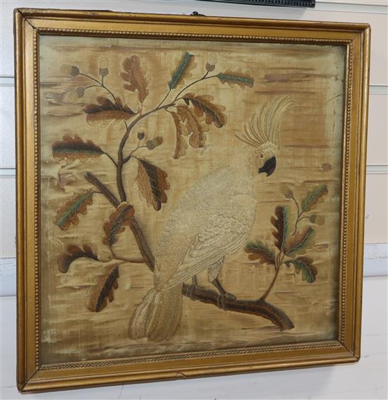 A Georgian silkwork picture of a parrot on a perch, framed, 36cm sq.